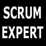ScrumExpert.com logo ScrumExpert.com logo