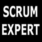 ScrumExpert.com logo